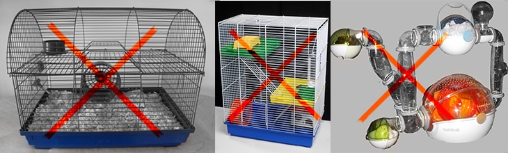 Kleine klassische Käfige mit Plastik und Gitterstäben