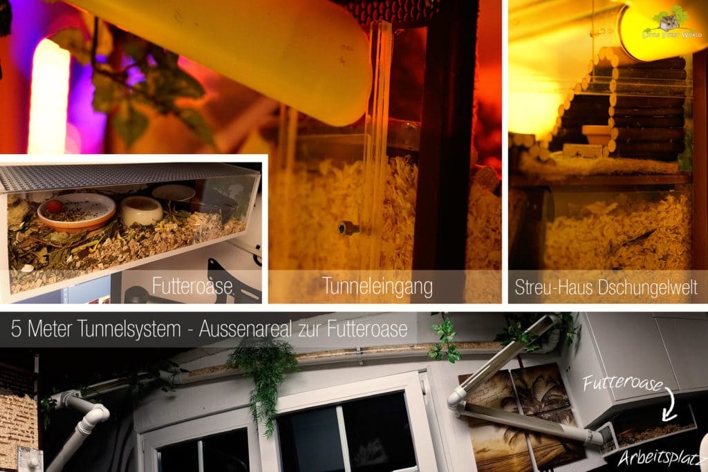 5 Meter Acrylrohr Tunnelsystem zur externen Futteroase, kleine Box mit Futter