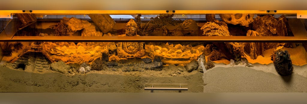 Panorama Wüstenwelt Nagarium