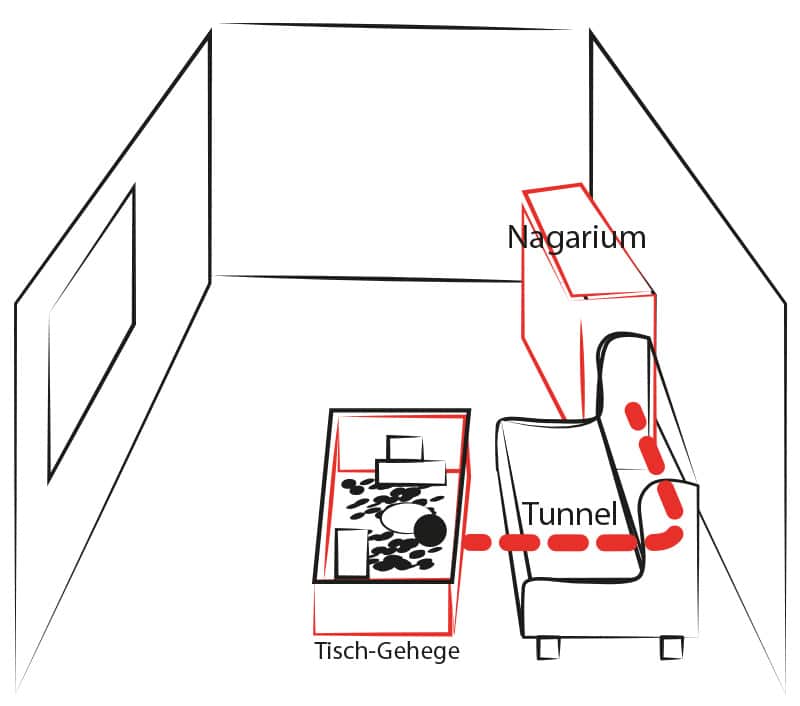 Tipp, Tunnelsystem von Wohnzimmer Nagarium zu Tisch Nagarium